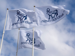 Novo Nordisk brand flag