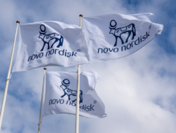 Novo Nordisk brand flag